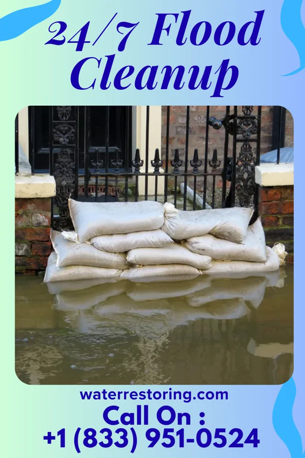 24/7 Flood Cleanup in Sun Valley Lake, IA