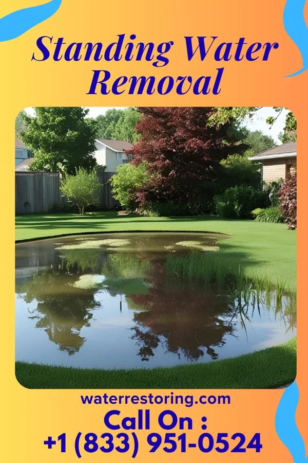 Standing Water Removal in Sun Valley Lake, IA